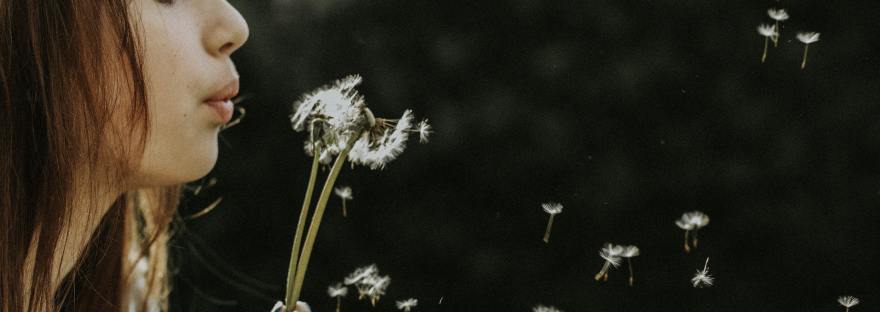 woman blowing dandelion
